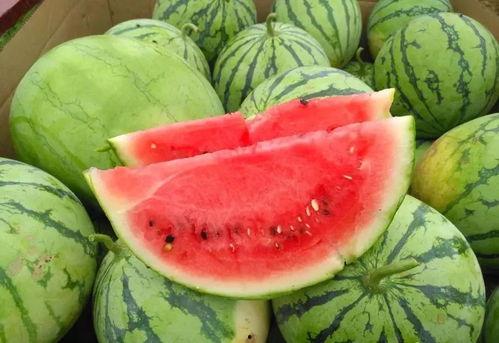 幸运吃瓜精彩时刻,精彩瞬间尽收眼底