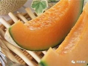 吃哈密瓜的瓜囊,甜蜜诱惑，营养满载的夏日美味