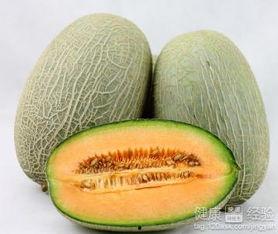 蟒蛇吃哈密瓜,哈密瓜大餐背后的故事