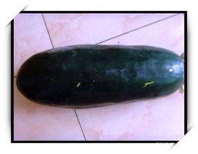 小贝吃冻瓜,冻瓜美食之旅