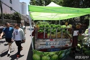 徐州最近吃的瓜,最新“瓜”事盘点