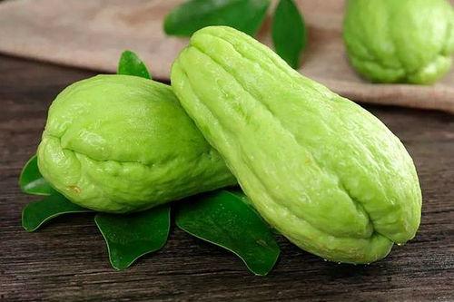 癌症吃方瓜和拉瓜好不好,癌症患者食用方瓜与拉瓜的益处探讨