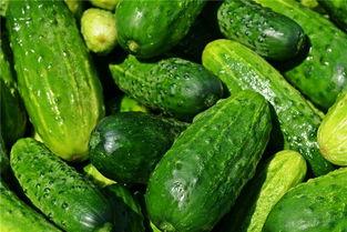 梦见吃小绿瓜,揭秘吃小绿瓜的神秘寓意