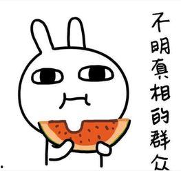 吃西子瓜文案搞笑
