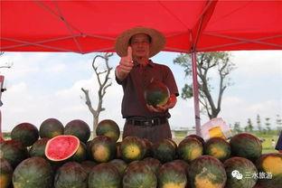 桃场吃瓜驿站,揭秘娱乐圈幕后故事