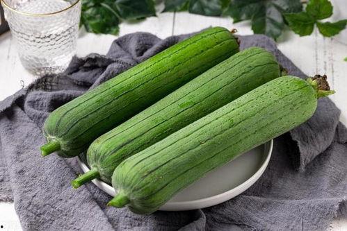 立秋吃几个瓜,品味瓜果丰收的甜蜜时光