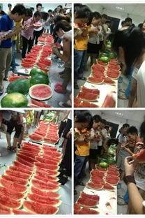 上海吃瓜比赛视频,一场味蕾与速度的极限挑战