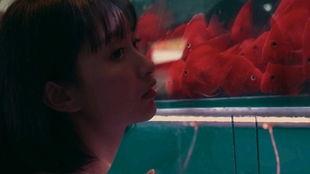 少女吃瓜动图,揭秘校园八卦背后的真相