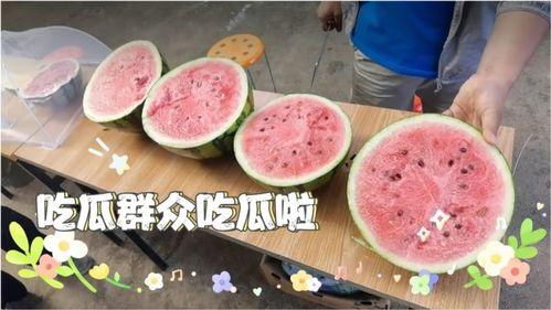 满是吃瓜,揭秘娱乐圈幕后故事