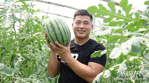长城新媒体吃瓜